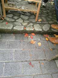 c0008801_20113627.jpg