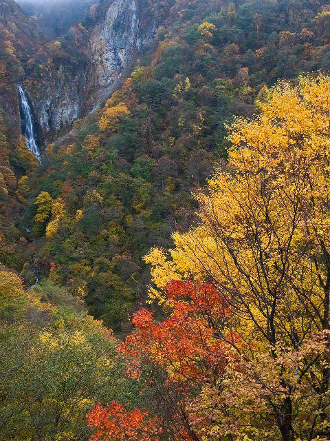 c0008502_545374.jpg