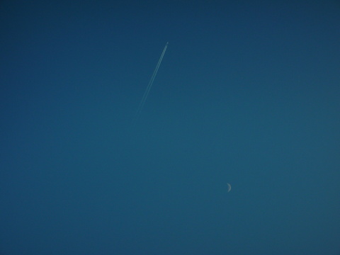 f0146802_17494563.jpg