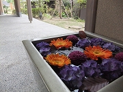 c0151903_9382823.jpg