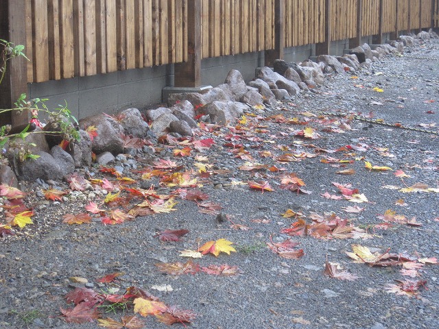 f0202703_21595643.jpg