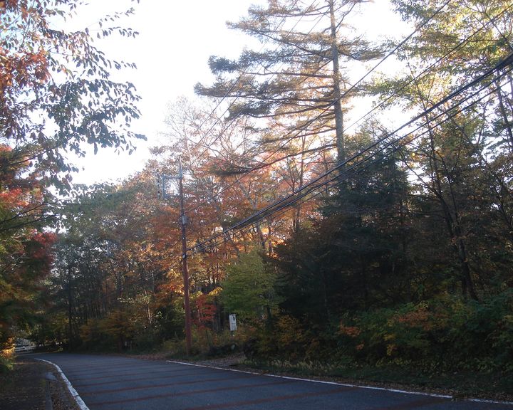 b0148106_4245723.jpg