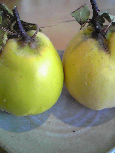 e0134907_13335656.jpg