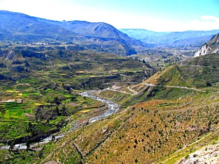 『コルカ渓谷』(Colca Canyon)への『3mコンドル見学』その3_b0051109_6365410.jpg