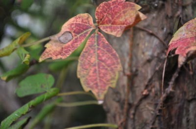 c0178009_9521936.jpg