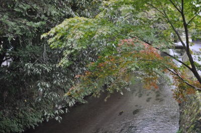 c0178009_9531195.jpg