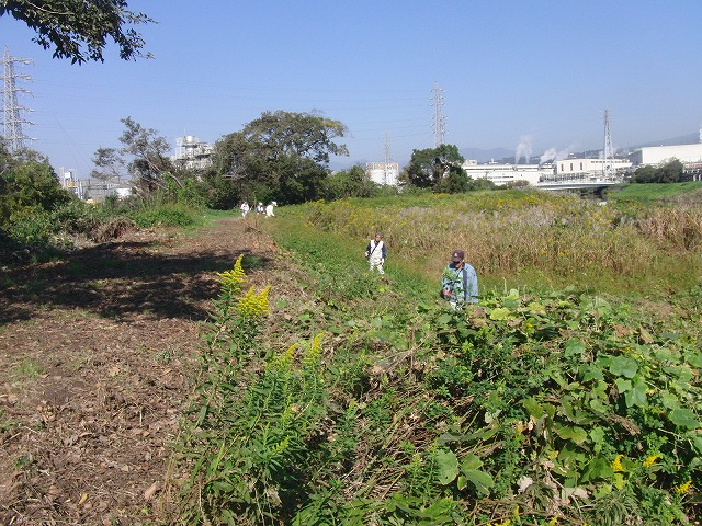 f0141310_6583392.jpg