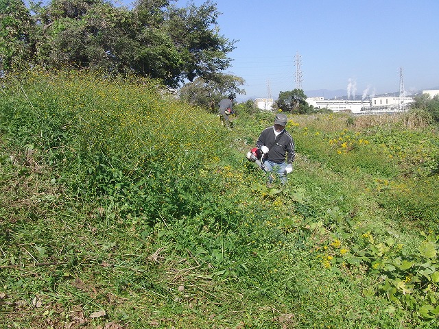 f0141310_6584641.jpg