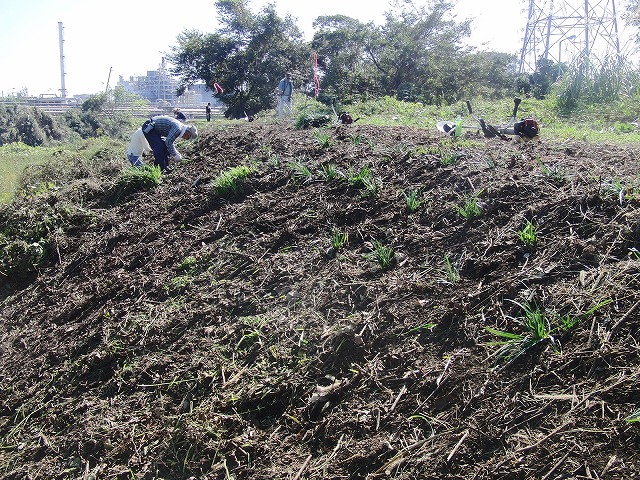 f0141310_71674.jpg