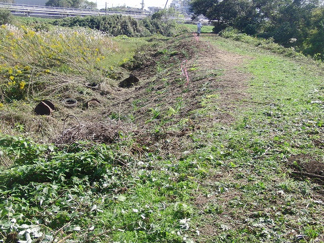 f0141310_75549.jpg