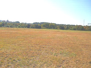 e0204314_1604585.jpg