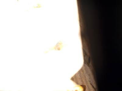 f0051915_213745.jpg