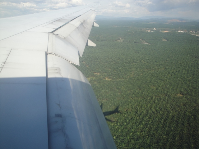 e0206818_11252983.jpg