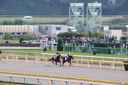 f0053218_085579.jpg