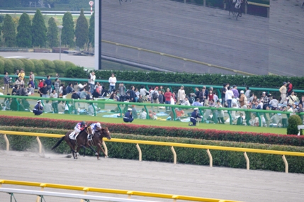 f0053218_091435.jpg
