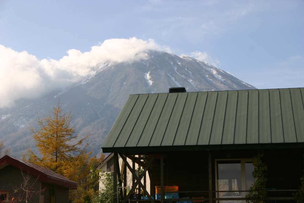 d0143719_10465928.jpg