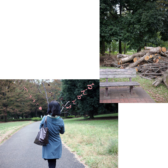野川公園 続き・・・_d0133320_23565462.jpg