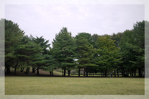 野川公園 続き・・・_d0133320_23575612.jpg
