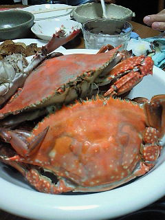 d0030521_13305750.jpg