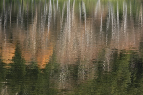 e0242721_10172642.jpg