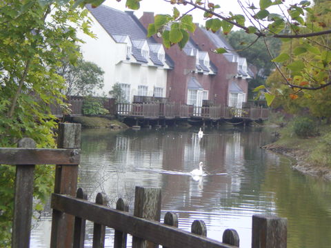 e0128024_11284549.jpg