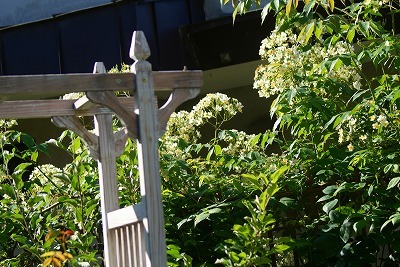 f0170524_17214898.jpg