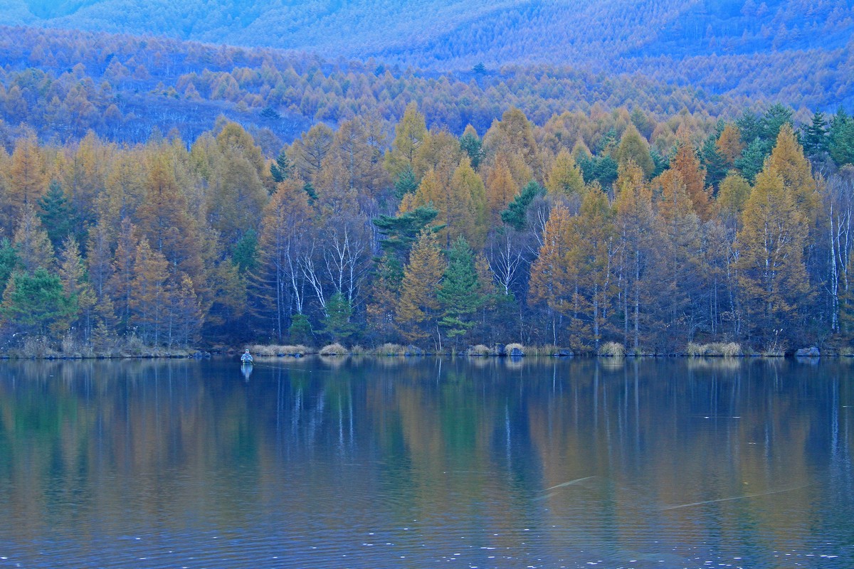 c0104227_20162.jpg