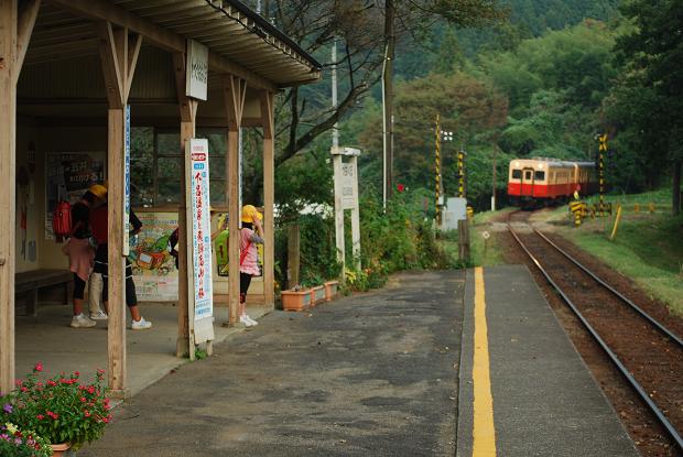 d0085228_17495751.jpg