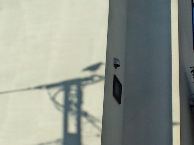 e0016828_11153315.jpg