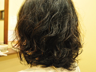 e0254028_140946.jpg