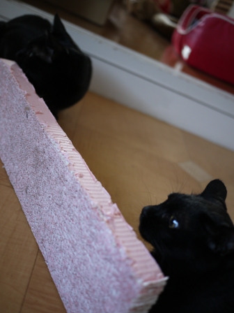 立ってるピンクのつめとぎ猫 空しぇるのぇるろった編。_a0143140_21485946.jpg