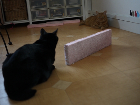立ってるピンクのつめとぎ猫 空しぇるのぇるろった編。_a0143140_21512365.jpg