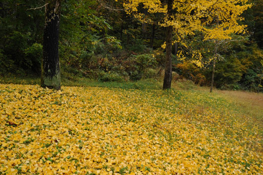 c0093046_18564846.jpg
