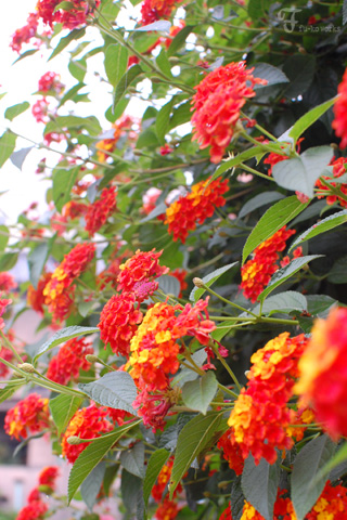 sweet photos♪_d0227246_20162916.jpg