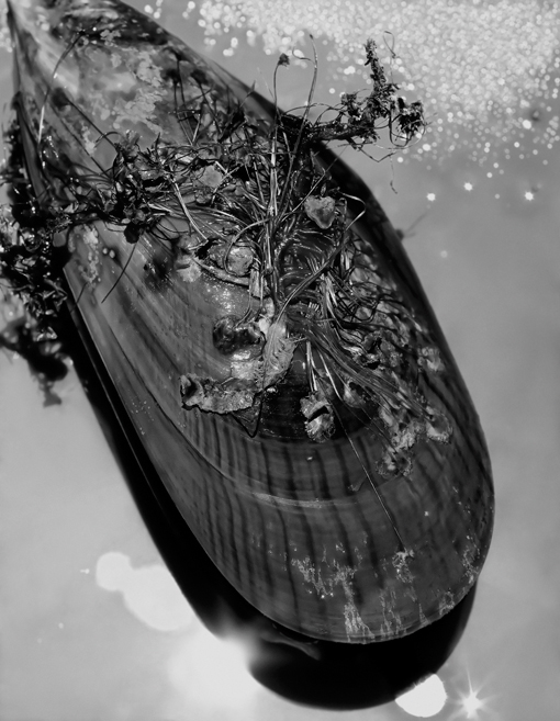 c0203449_17271365.jpg