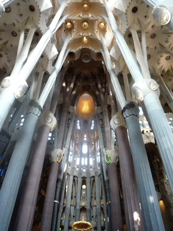 a0044453_805942.gif