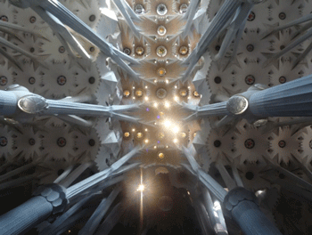 a0044453_82254.gif