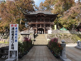 魚沼の菊花展が始まりました_a0084753_1315519.jpg