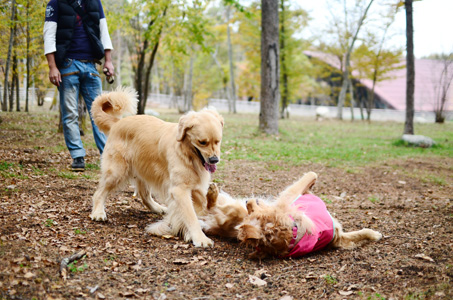 woofなオフ会♪　準備運動♪_f0044853_12523157.jpg