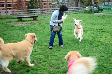 woofなオフ会♪　みんなでわ〜い♪_f0044853_22145253.jpg