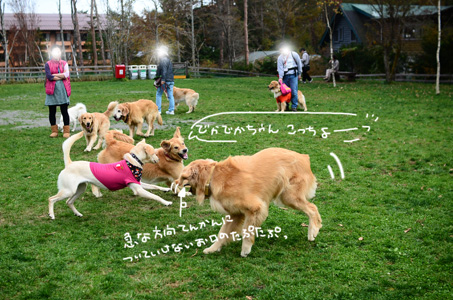 woofなオフ会♪　みんなでわ〜い♪_f0044853_236976.jpg