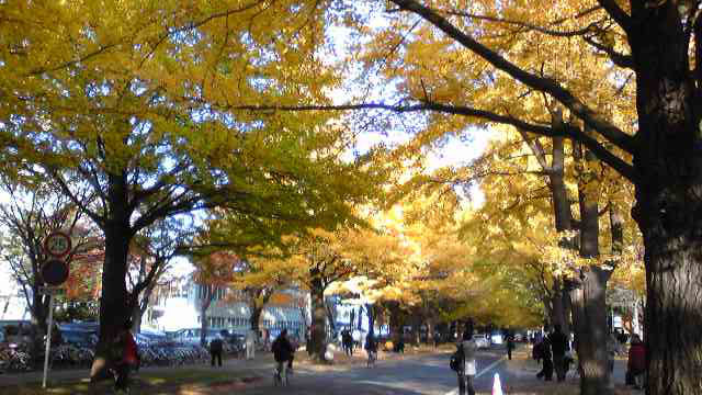 f0009457_21262949.jpg