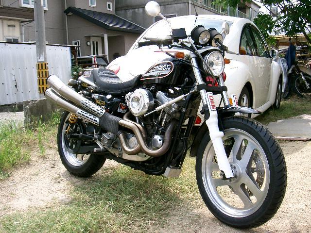 みんなのスポーツスターを見てみよう・・・11 : スポーツ みんなのスポーツスターを見てみよう・・・11 : スポーツ