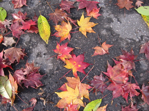 f0236260_1223696.jpg