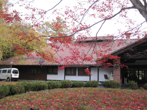 f0236260_129453.jpg