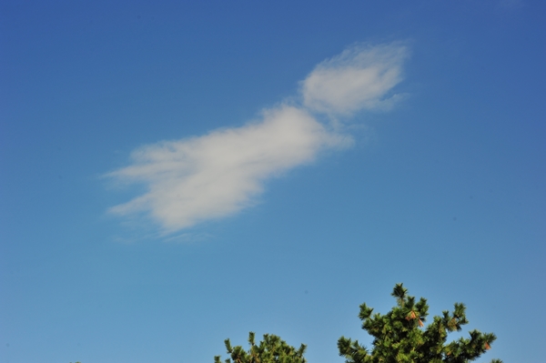 e0020166_15232420.jpg