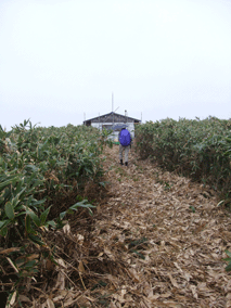 d0094868_10432224.gif