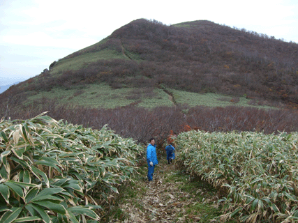 d0094868_10471255.gif