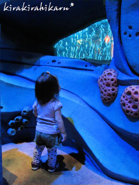 e0173670_15551673.jpg