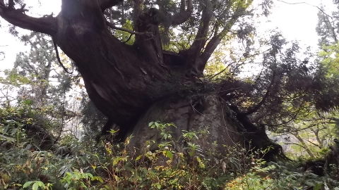 d0217072_18311475.jpg
